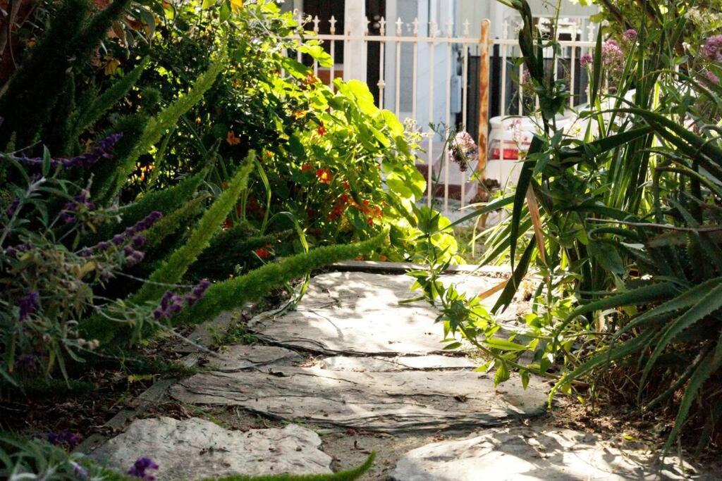 Beautiful, Historic Family Home Near Lake Merritt Oakland Extérieur photo