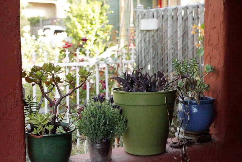 Beautiful, Historic Family Home Near Lake Merritt Oakland Extérieur photo